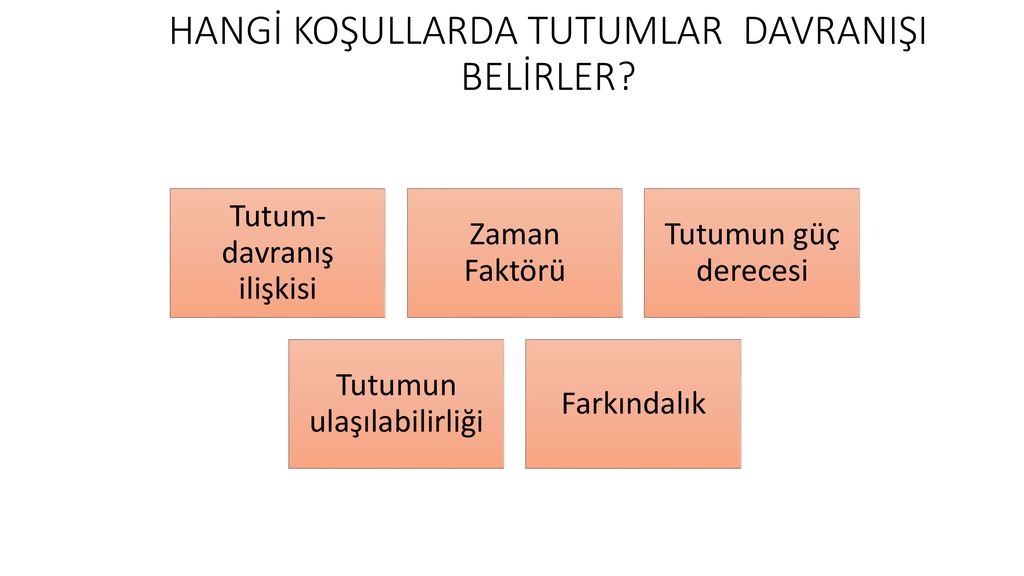 Tutumlar Sosyal D Nyayi De Erlend Rmek Ppt Indir